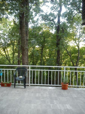 Apartman Viva